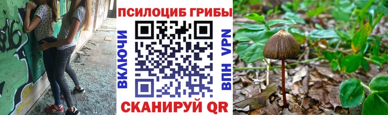 Псилоцибиновые грибы Psilocybe  что такое наркотик  Ряжск 